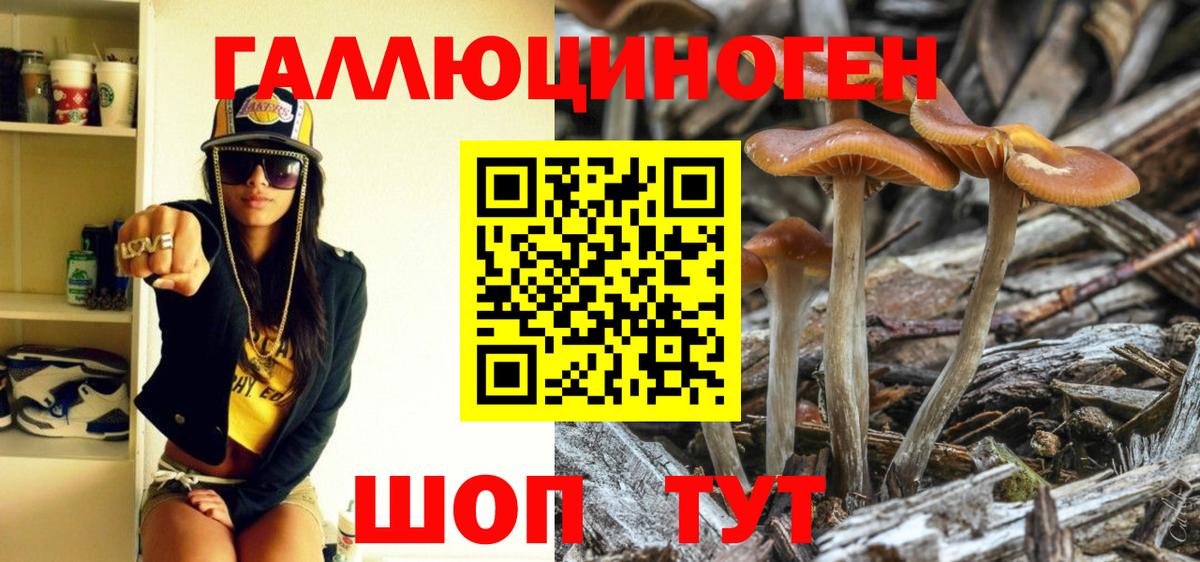 Галлюциногенные грибы Psilocybine cubensis Кохма