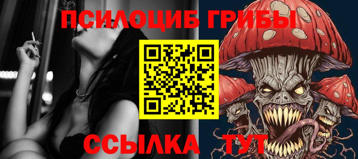 Псилоцибиновые грибы MAGIC MUSHROOMS  Вход с VPN  Кохма 